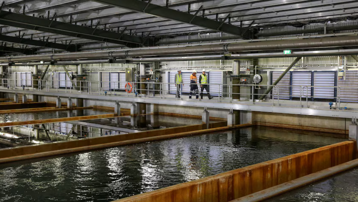 Sydney Faces a Water Test in the Data Age